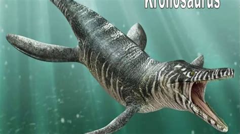top 5 de los monstruos acuaticos mas grandes de toda la ...