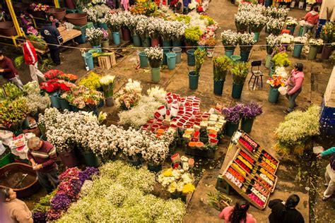 Top 5 de mercados de flores en la Ciudad de México