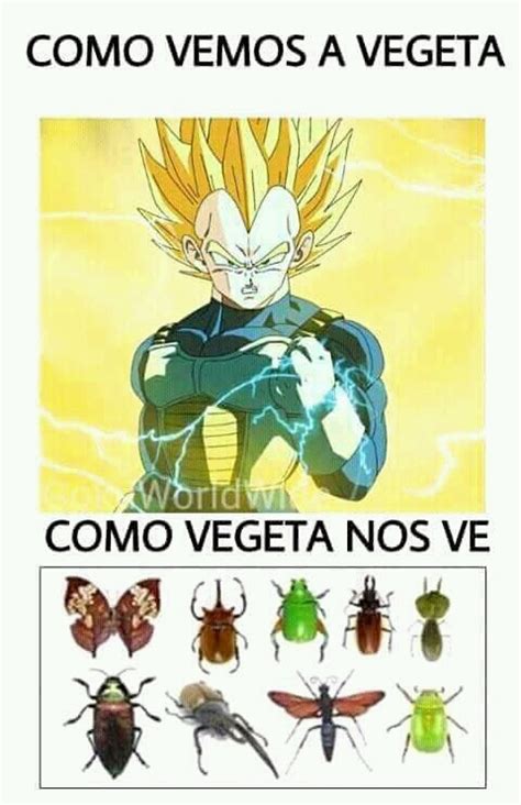 Top memes de dbz en español :  Memedroid