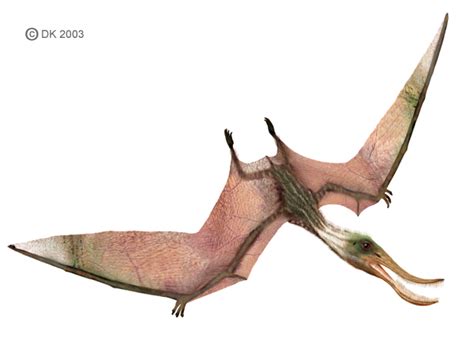 Top Ten Weirdest Prehistoric Creatures   page 1   Dinosaur ...