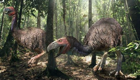 TOP10: ¡Los animales prehistóricos extintos más ...