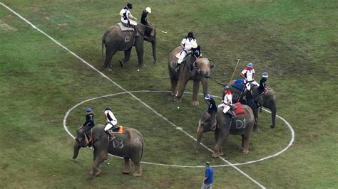 Torneo de polo con elefantes: El partido de Polo sobre ...