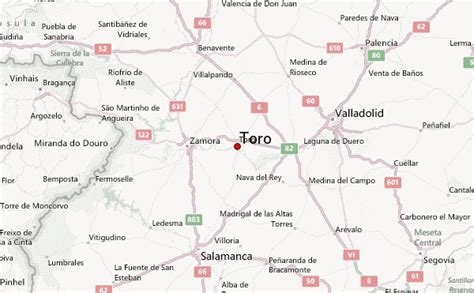 Toro, Spain Location Guide