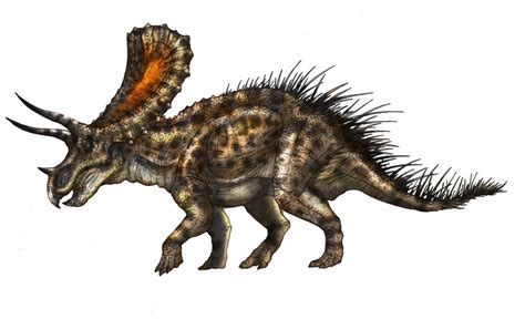 Torosaurus Pictures & Facts   The Dinosaur Database