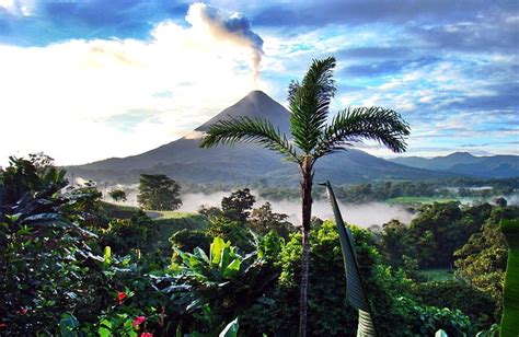 Tortugas y Quetzales   Costa Rica   Viaja con tu familia