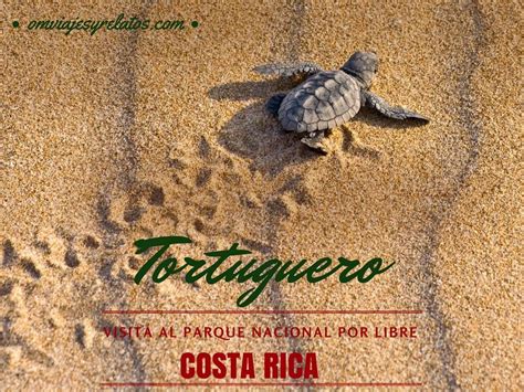 Tortuguero por libre: Tortuguero es el Amazonas de Costa ...