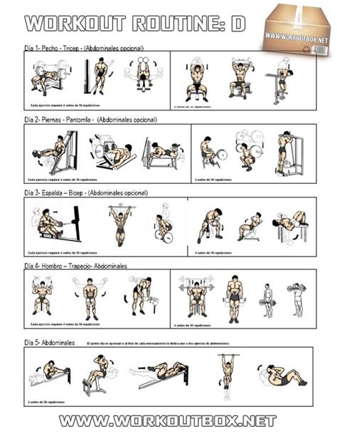 total body workout routines for the gym ...