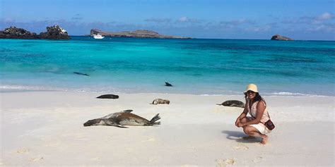 Tour Isla Española Galapagos | Desde San Cristobal