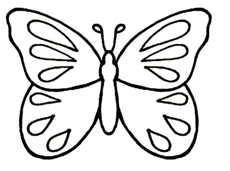 trace butterfly