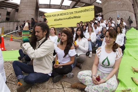 Transgénicos no acaban con el hambre: FAO | Greenpeace México