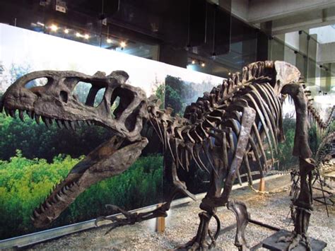 Tras las huellas de los Dinosaurios | Lima para Pequeños