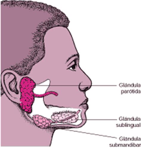 Trastornos de los labios, la boca y la lengua