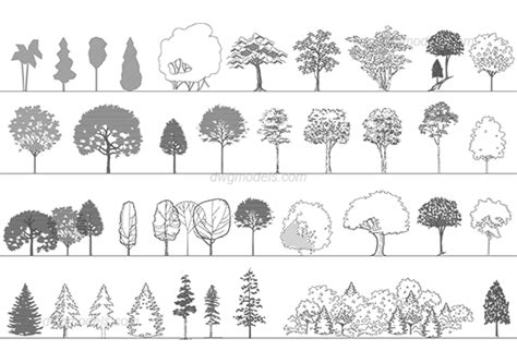 Trees 5 DWG, free CAD Blocks download