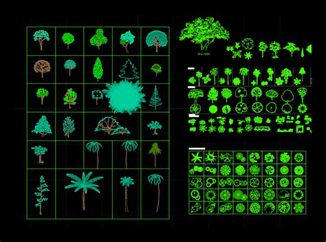 Trees, Shrubs and House Plants 2D DWG Block for AutoCAD ...