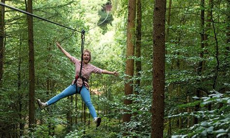 Treetop Adventure Course   Go Ape | Groupon