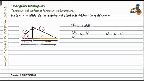 Triángulos rectángulos: Teorema del cateto, teorema de la ...