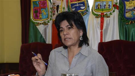 Tribunal Electoral de Bolivia confirmó triunfo del No en ...