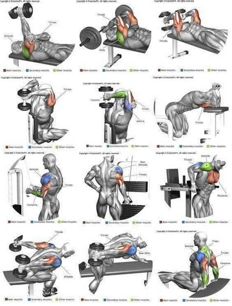 Tricep exercises | Fitness | Pinterest | Workout, Fitness ...