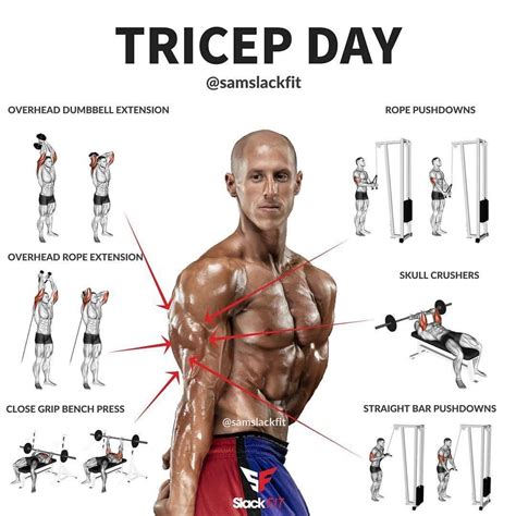 Triceps | Workout | Pinterest | Entrenamiento, Musculacion ...