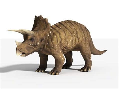 Triceratops: el famoso dinosaurio de 3 imponentes cuernos