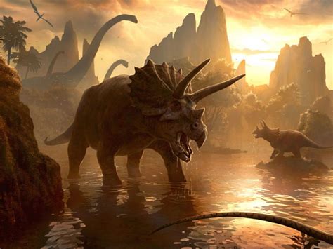 Triceratops   Fotos, Hechos y Historia | Dinosaurios