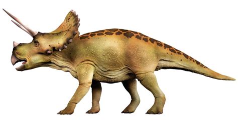Triceratops | Triceratops Facts | DK Find Out