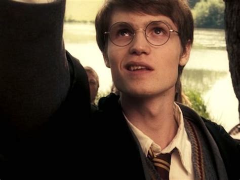 Trivial: ¿Cuánto sabes de la familia de Harry Potter ...