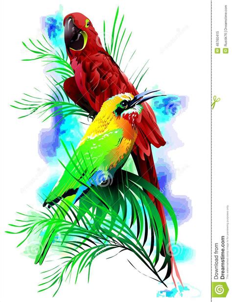 Tropical Birds. Vector Stock Illustration Image: 46760415