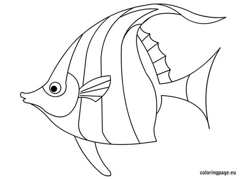 Tropical Fish coloring, Download Tropical Fish coloring
