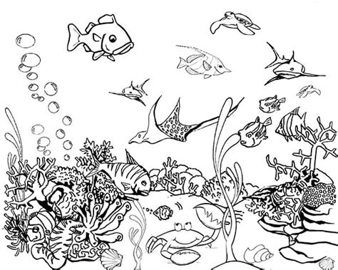 Tropical Fish Coloring Pages – Color Bros