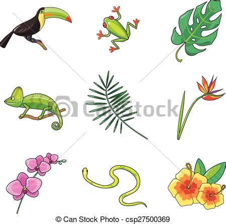 Tropical plants and animals icon. Tropical plants and ...