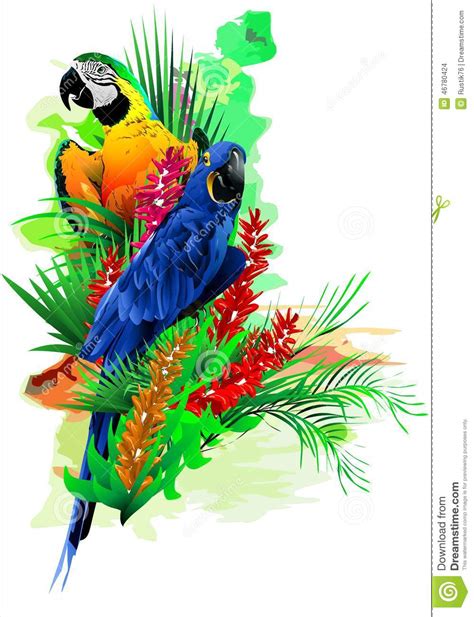 Tropische Vogels  Vector  Stock Illustratie   Afbeelding ...