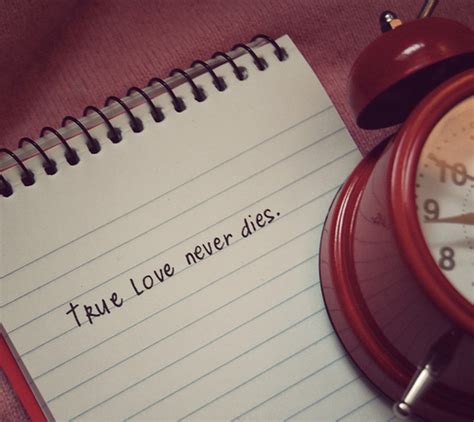 true love never dies | true love wallpapers | true love ...