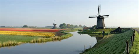 Tulip River Cruise   Netherlands   Belgium