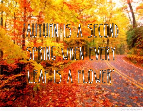 Tumblr Autumn quotes and sayings with wallpapers hd