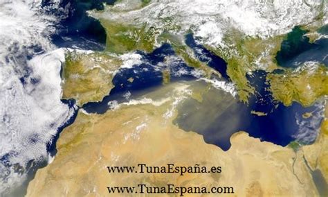 Tuna España – Universitaria » Blog Archive » Mediterraneo ...
