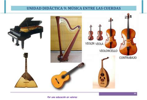 Tus notas musicales: Tipos de instrumentos musicales