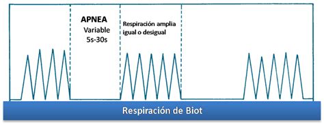 Tutomedic: Semiología del Aparato respiratorio4 ...