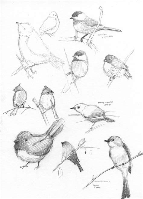 tweet tweet   sweet little bird illustration | Art ...