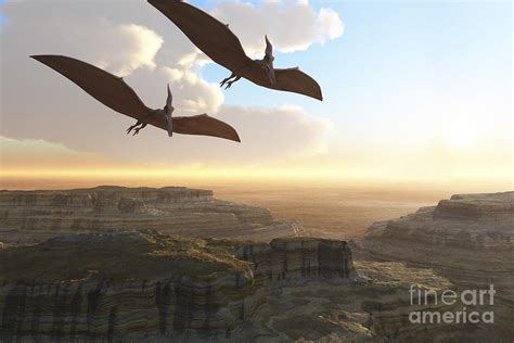 Two Pterodactyl Flying Dinosaurs Soar by Corey Ford