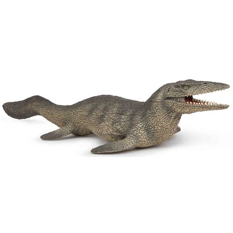 Tylosaurus from PAPO | WWSM