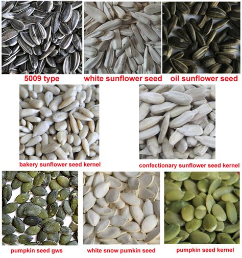 Types Of Bird Seed: Different Types, For Wild Birds