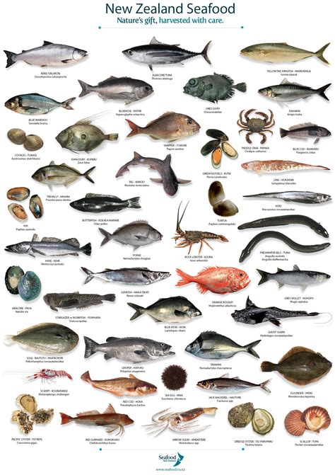 Types Of Fish Names