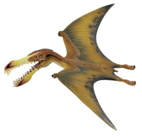 Types Of Flying Dinosaurs Names | www.pixshark.com ...