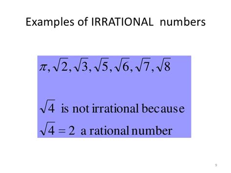 types of numbers