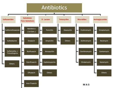 types of penicillin   Bing Images | herbs & medcinal ...