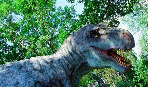 Tyrannosaurus Rex: características y curiosidades ...