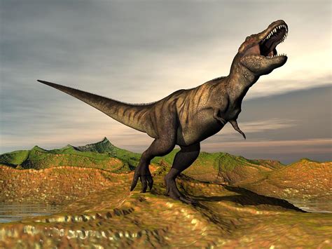 Tyrannosaurus Rex Dinosaur   3d Render Digital Art by ...