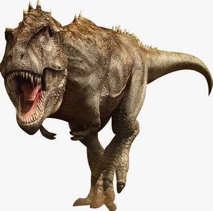 Tyrannosaurus Rex, Dinosaur, Tyrannosaurus PNG Image and ...