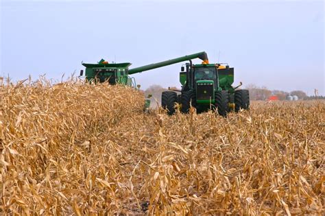 U.S. grains: Corn, soybeans, wheat end modestly lower ...